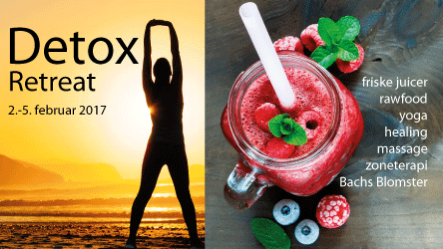 Detox Retreat feb 2017