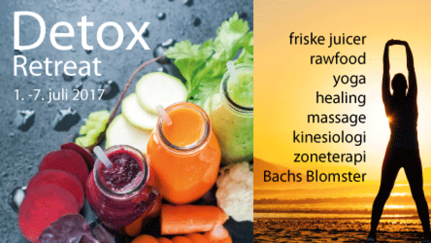 Detox Retreat juli 2017